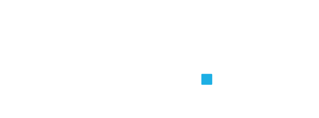flatter logo